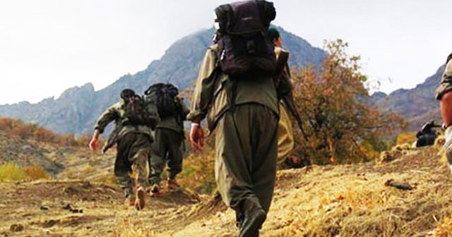 Mardin, Şırnak, Hakkari ve Tunceli'de 15 terörist etkisiz hale getirildi