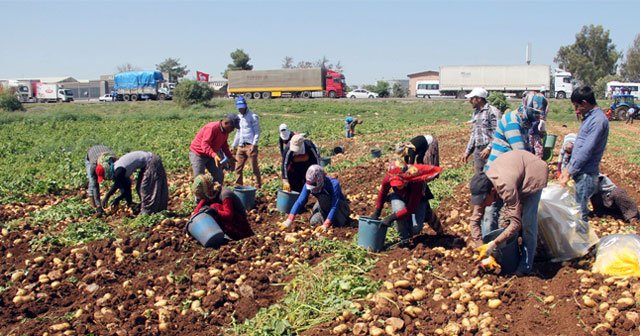 40 lira için 12 saat çalışıyorlar