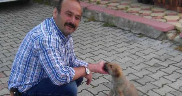 Ezdiği köpeğin ayağına platin taktırıp sahiplendi