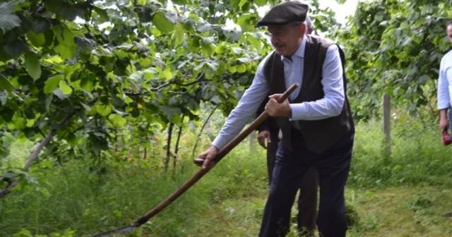 Kılıçdaroğlu Ordu'da tırpan salladı