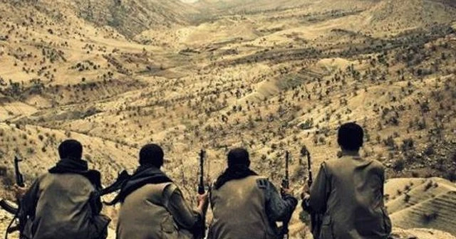 PKK'nın sözde Nusaybin sorumlusu ölü ele geçirildi