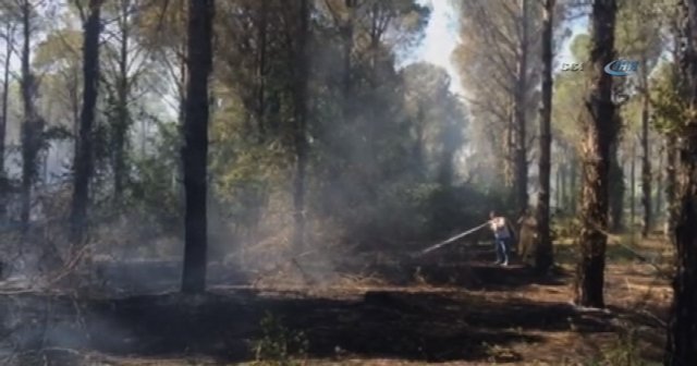 Antalya&#039;da otellere yakın alanda yangın