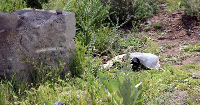 Bebek mezarı sandılar leş çıktı