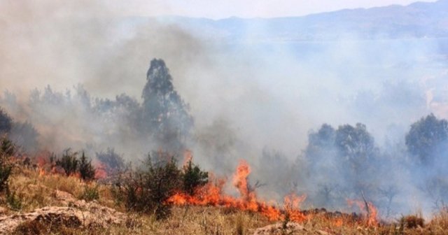 Bodrum&#039;daki yangın söndürülemiyor