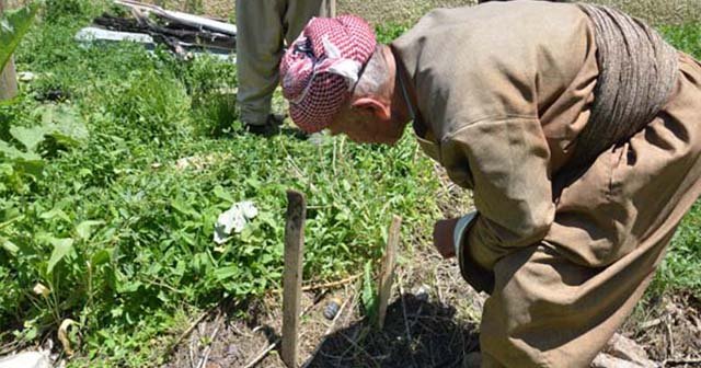 Hakkari Yüksekova&#039;da patlamamış mühimmat korkutuyor