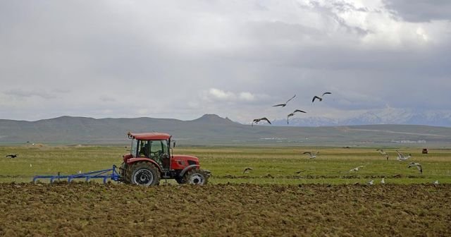 Tarım ÜFE Mayıs&#039;ta yüzde 5,74 arttı