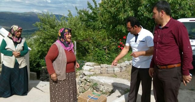 Ülkü Ocaklarından ihtiyaç sahibi ailelere gıda yardımı