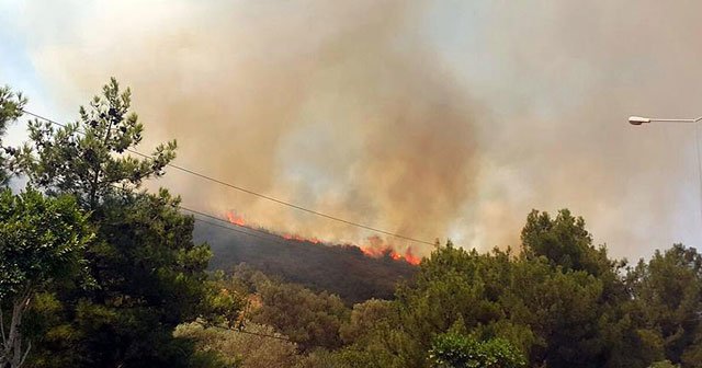 Bodrum&#039;da orman yangını