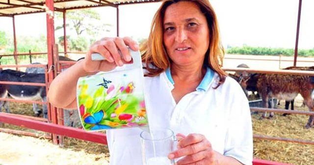Eşek sütüne inanılmaz talep, siparişleri yetiştiremiyor