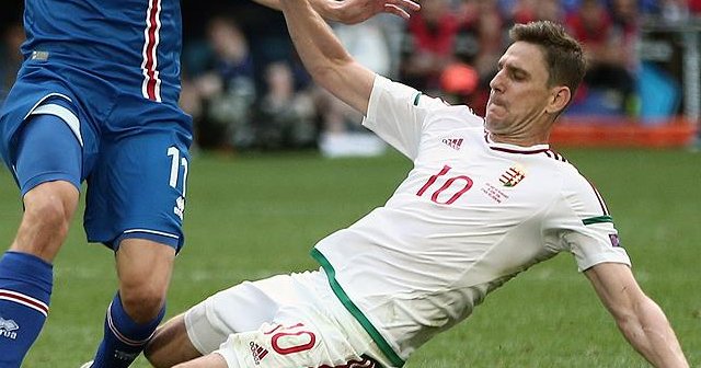 EURO 2016&#039;nın en güzel golü Macar Gera&#039;dan