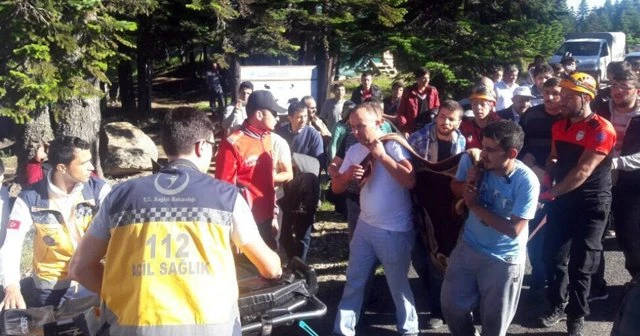 Geceyi ağaç kovuğunda geçirdi