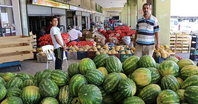 Rusya ile olumlu ilişkiler sebze üreticilerini heyecanlandırdı