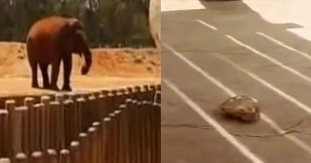 Şaka gibi olay, üzücü bir ölüm!