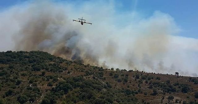 Yangın, müdahalelere rağmen ormanlık alana sıçradı