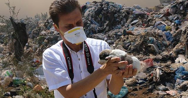 Yangında mahsur kalan yavru köpekleri gazeteciler kurtardı