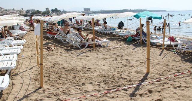 Altınkum plajında caretta caretta önlemi