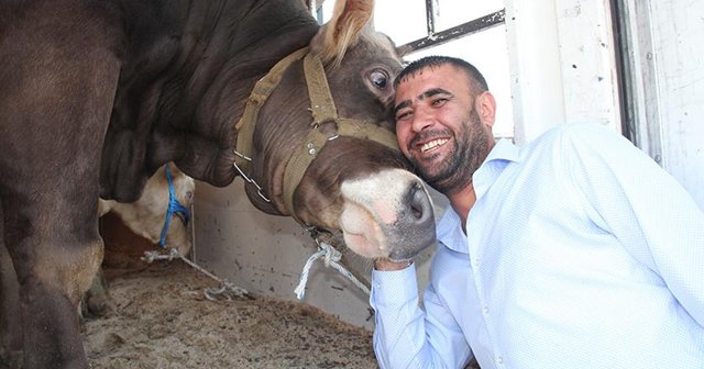 Bir tonluk &#039;Carlos&#039;u alana televizyon hediye