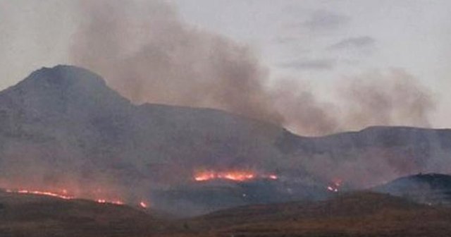 Bitlis&#039;te ormanlık alanda yangın çıktı