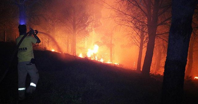 Kazdağları&#039;nda orman yangını