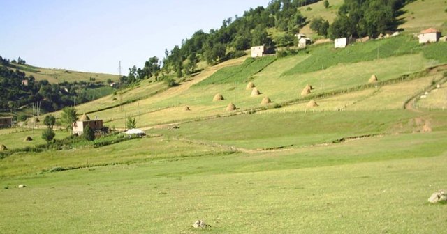 Ordu’da çatışma!