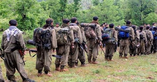 PKK’nın köy komiteleri çökertildi