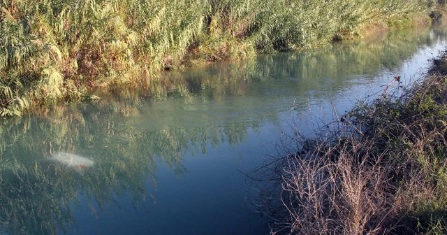 Sulama kanalına giren kardeşler kurtarılamadı