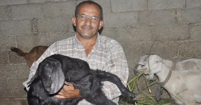 Tek mal varlığı olan keçilerini bağışlıyor
