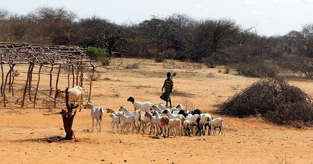 Türkiye&#039;den Afrika&#039;ya &#039;kuraklık stratejisi&#039; desteği