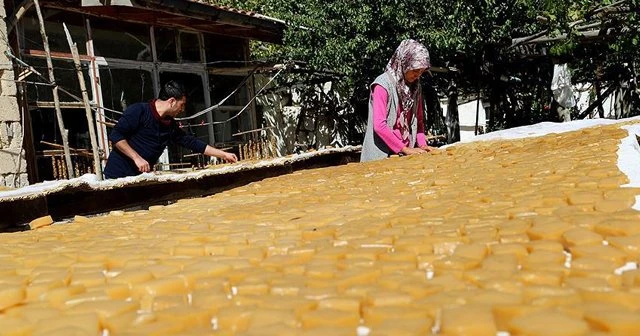 &#039;Anadolu jelibonu&#039;nun meşakkatli yolculuğu