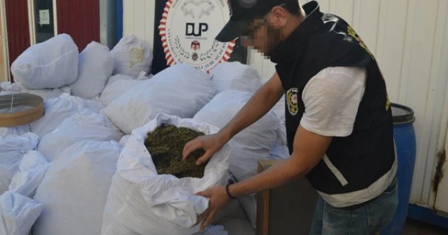 700 kilo esrar, 4 bin 577 kök kenevir!