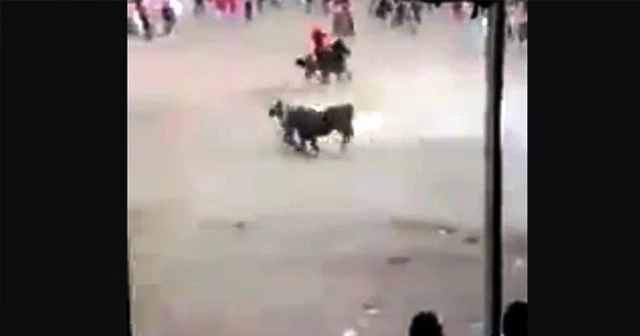 Arenada korkunç ölüm!