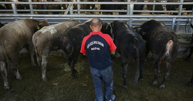 Cezaevinde yetişen kurbanlıklar yok sattı