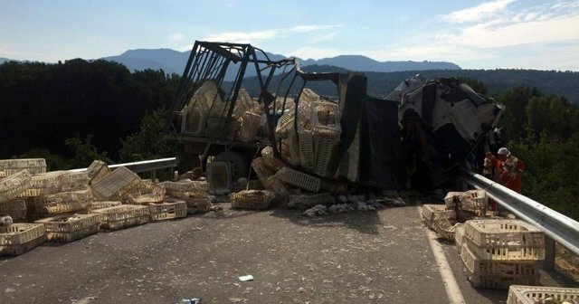 Kamyonlar kafa kafaya çarpıştı, sürücüler hayatını kaybetti