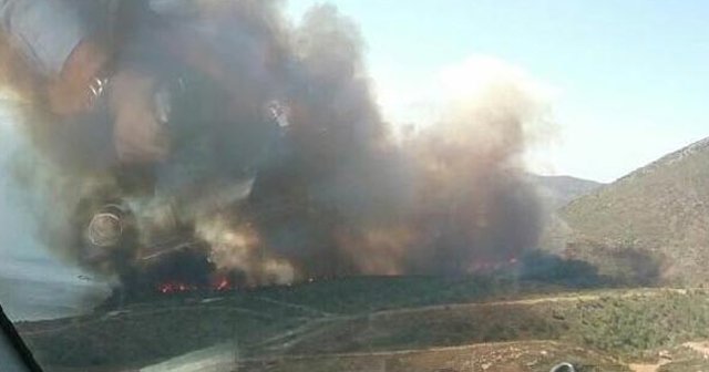 Karaburun’da piknikçi ateşi ormanı yaktı