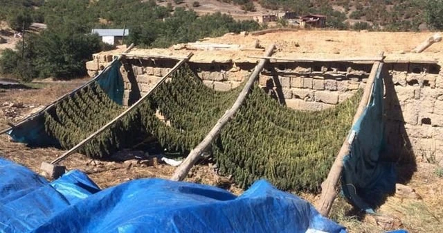 Lice kırsalında asker fark etti! 1 PKK'lı öldürüldü