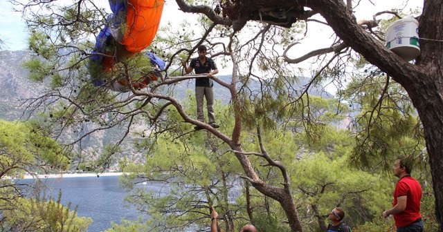 Paraşütçünün hayatını ağaç kurtardı