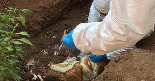 2 erkek cesedi ve PKK&#039;ya ait cephanelik bulundu