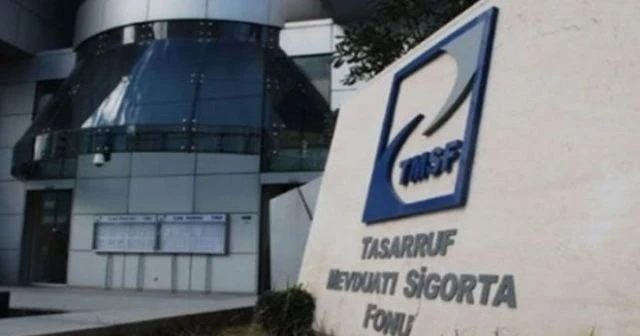 252 şirket TMSF yönetimine devredildi