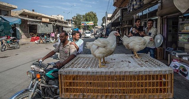 5 bini aşkın Suriyeli Cerablus&#039;a döndü