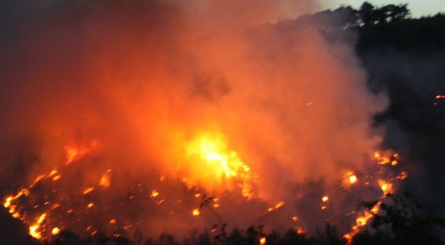 Adana&#039;da orman yangını büyüyor
