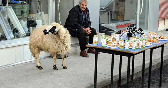 Dadaş tanıtım için protokolü böyle bekledi