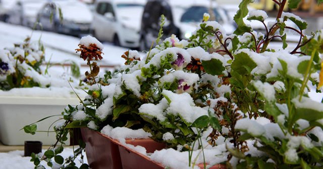 Doğu’da kar yağışı bekleniyor