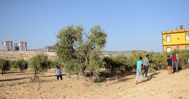 Kilis&#039;e Suriye&#039;den roket atıldı, 1 yaralı