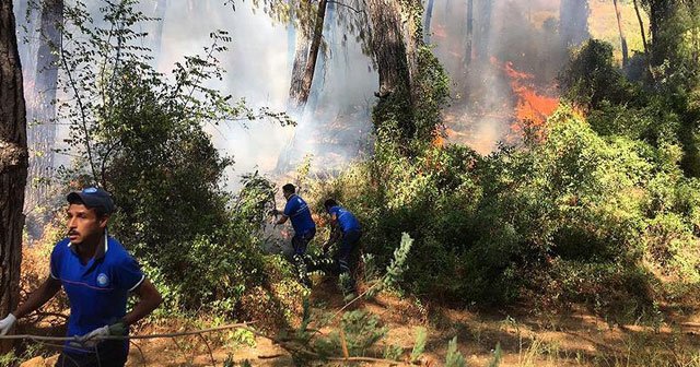 Marmaris&#039;te orman yangını