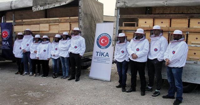 TİKA Sırbistan&#039;da arıcılığı geliştiriyor