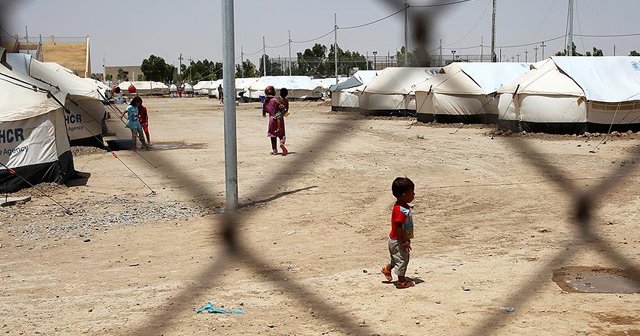 &#039;Irak&#039;ta her gün bin 850 kişi yerinden ediliyor&#039;