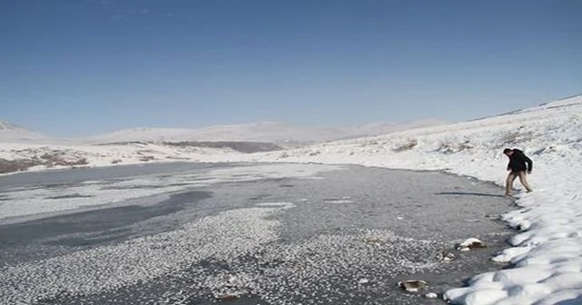 Ardahan'da Kura Nehri dondu