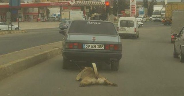 Çorlu&#039;da skandal görüntü, köpeği araca bağlayıp metrelerce sürükledi