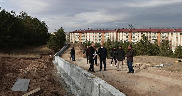 Domuzlar için böyle önlem alıyorlar