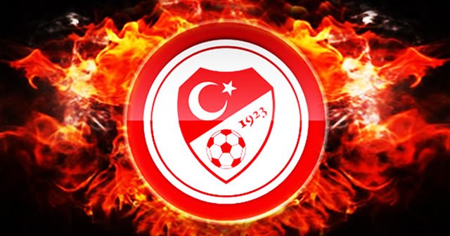 Hükümetten TFF'ye 'TL' çağrısı